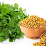 fenugreek